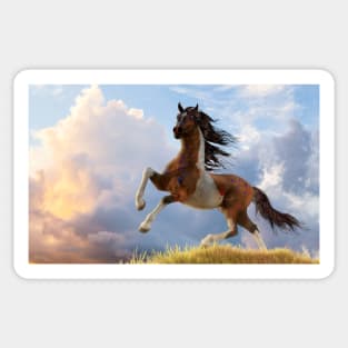 Painted War Horse Sticker